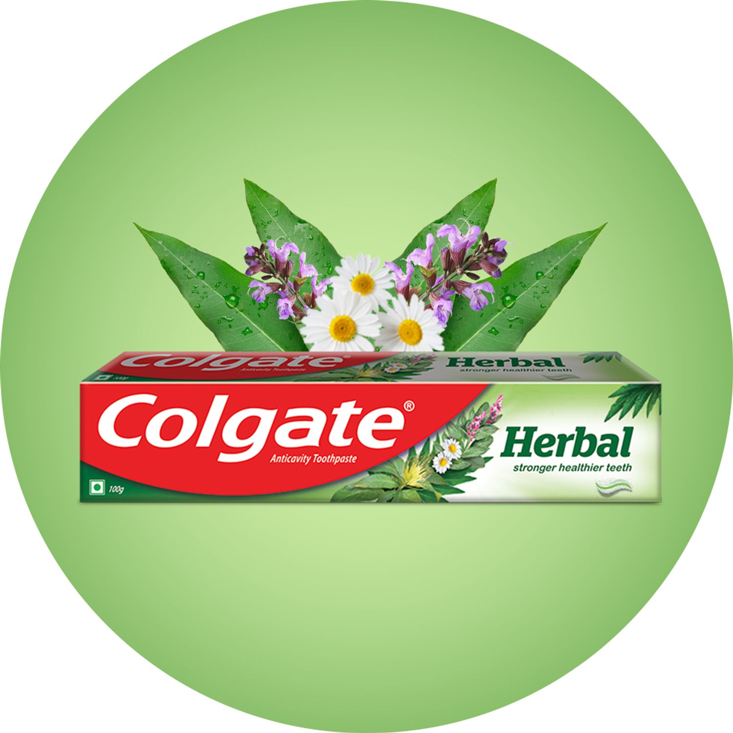 Colgate Herbal Oral Care Toothpaste, Goodness of Natural Ingredients for Healthy Teeth, 200g - extra image